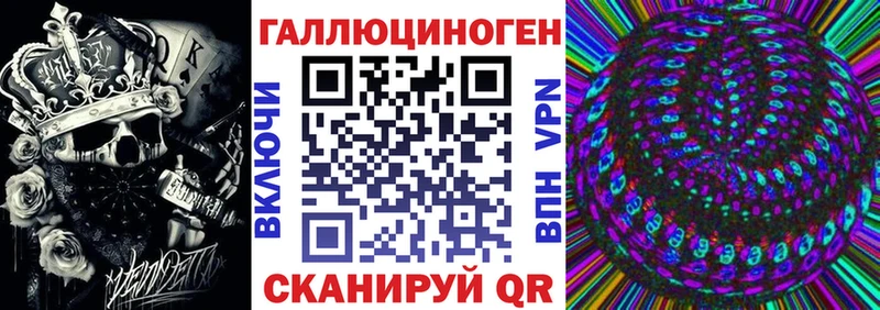 Псилоцибиновые грибы Psilocybine cubensis Кинешма